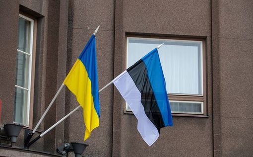 В Эстонии серьезно задумались об отправке войск на запад Украины