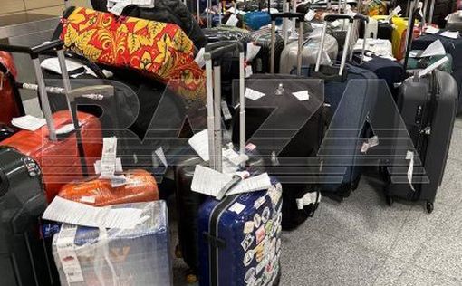 Сотни мокрых чемоданов прибыли в Домодедово